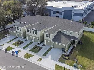 2916 Rambler Ivy Loop, Brandon, FL 33510