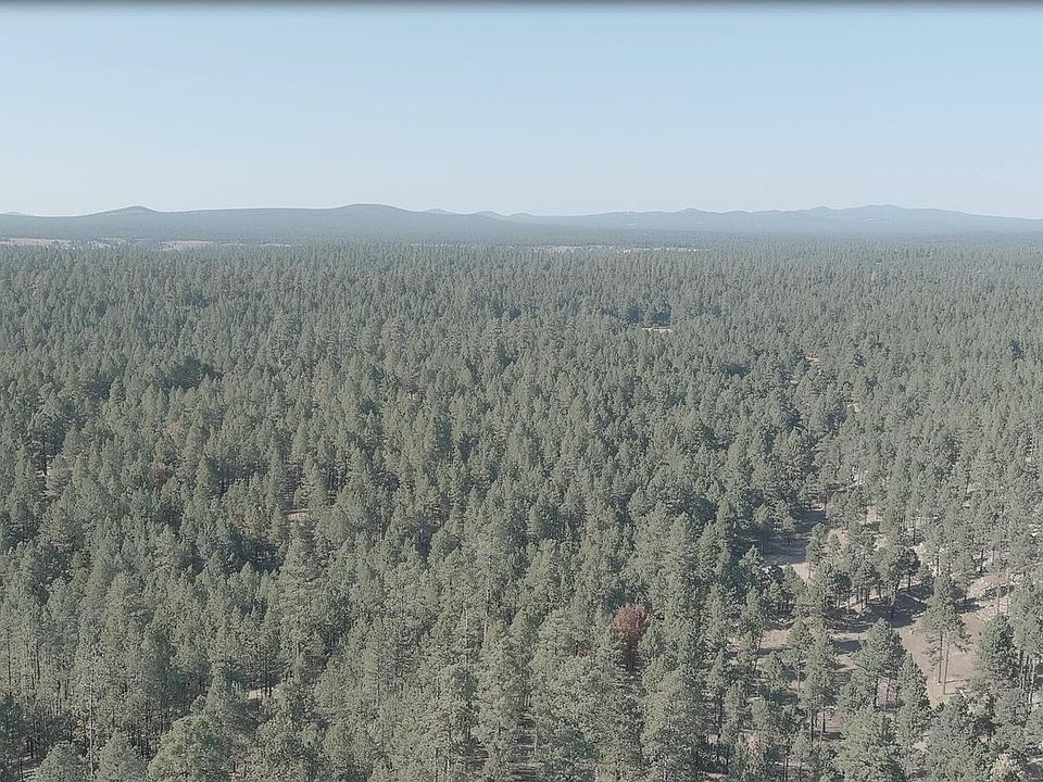 1st image of 7800 Forest Service 122 Rd-Tract 9B -- #9-B