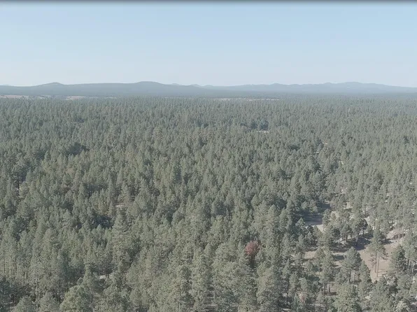 7800 Forest Service 122 Rd-Tract 9B -- #9-B, Happy Jack, AZ 86024