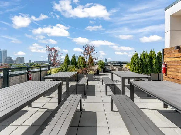 255 Brunswick Street image 6 of 31