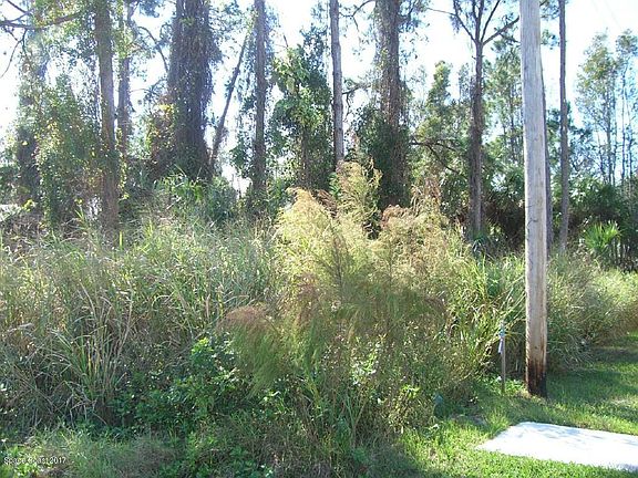 5th image of 338 Woods Lake Dr