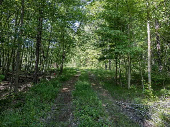 County Road A, New Lisbon, WI 53950