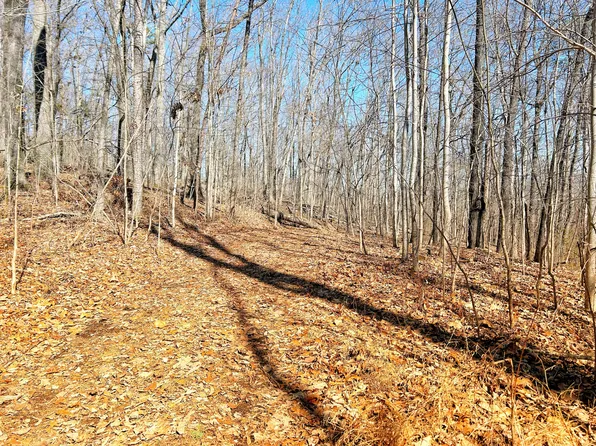 0 Browbend Dr Unit 19, Guild, TN 37340