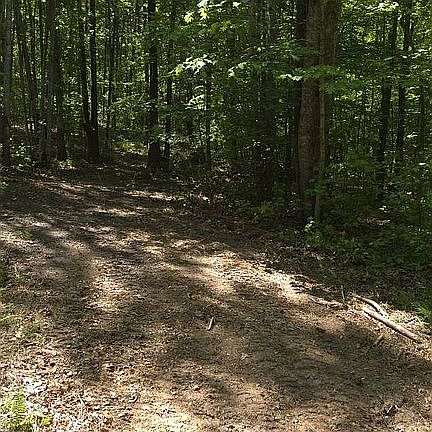 5th image of 0 Holman Mill Rd