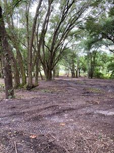 28946 SE 175th Pl #5, Umatilla, FL, 32784