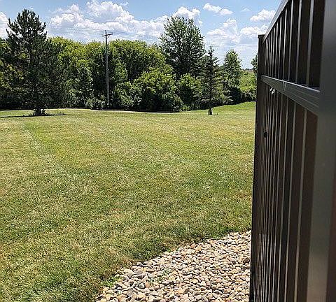 Back yard