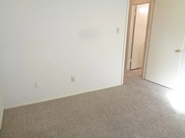 19806 Rustlewood Dr — Photo 12