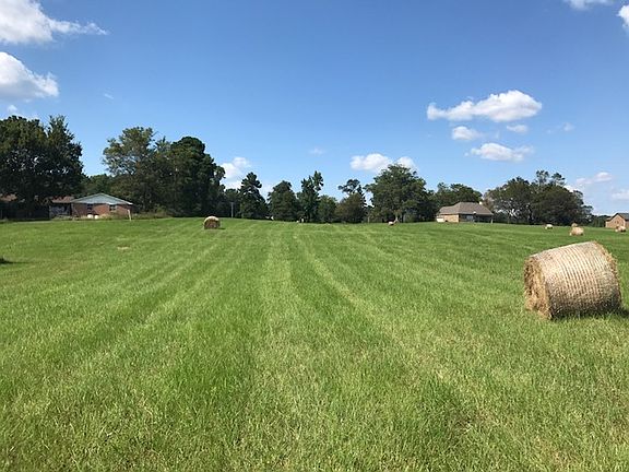 5th image of 251 Bismarck Estates Dr