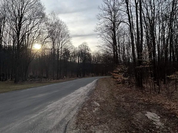 LOT 83 E Village Dr, Bellaire, MI 49615