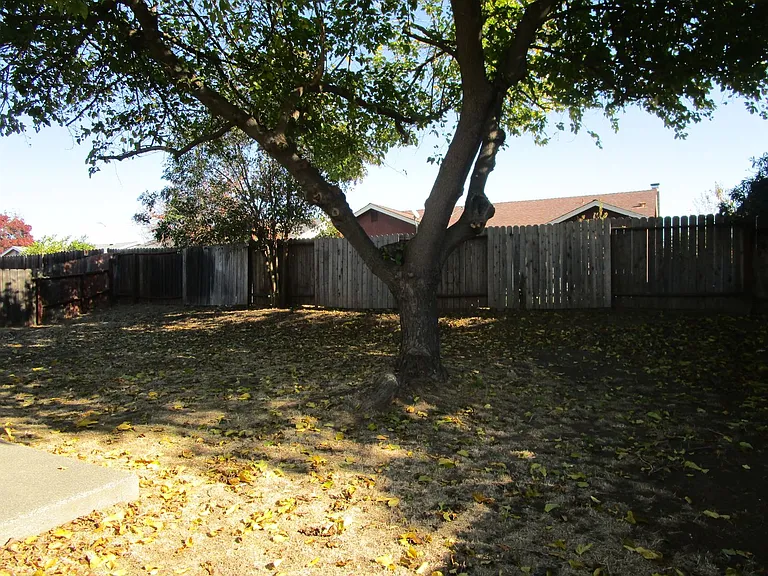833 Scoter Way — Photo 10