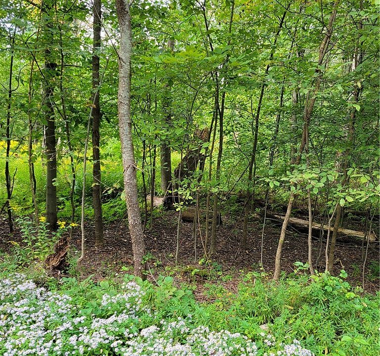 2nd image of 0 Block Rd #43