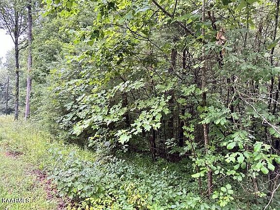 3rd image of Dudley Dr