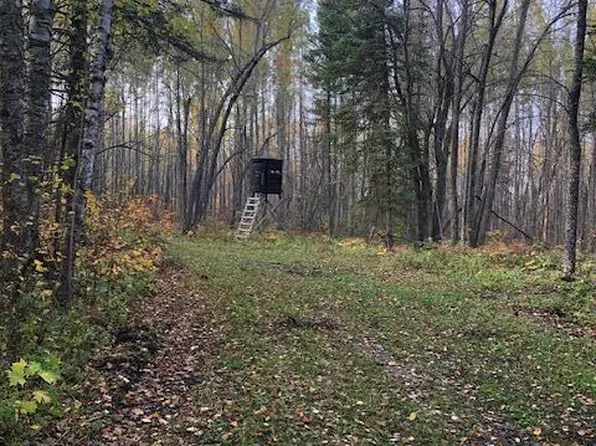 Baker Rd, Blackduck, MN 56630