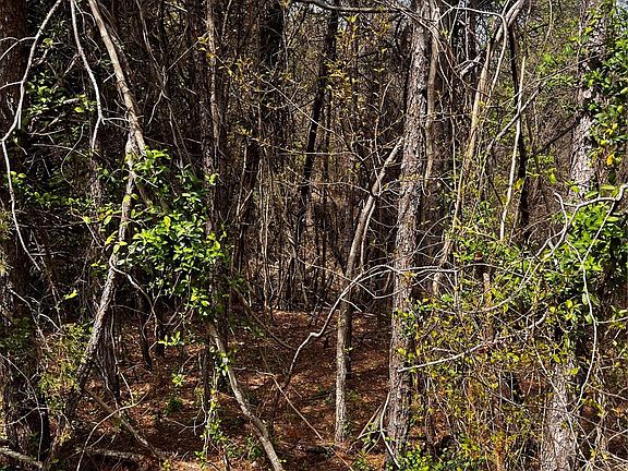 2nd image of 0 Cemetery Loop