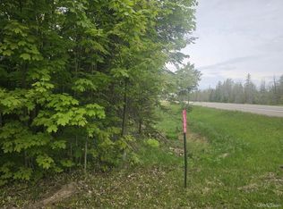10098 Us Highway 41 S, Skandia, MI 49885