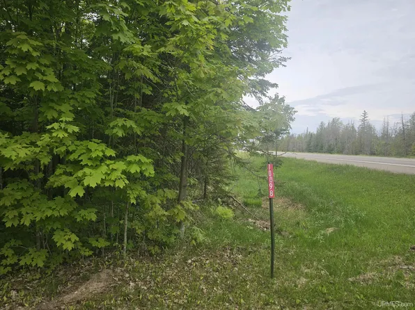 10098 Us Highway 41 S, Skandia, MI 49885