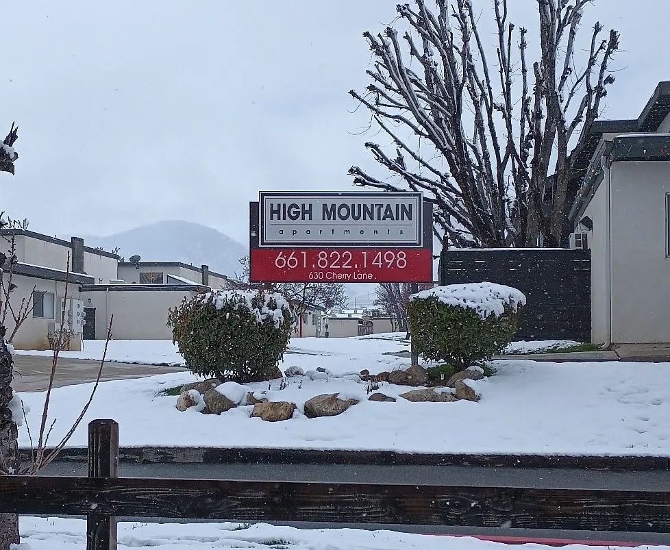 1 bed, $1,399 — Photo 1