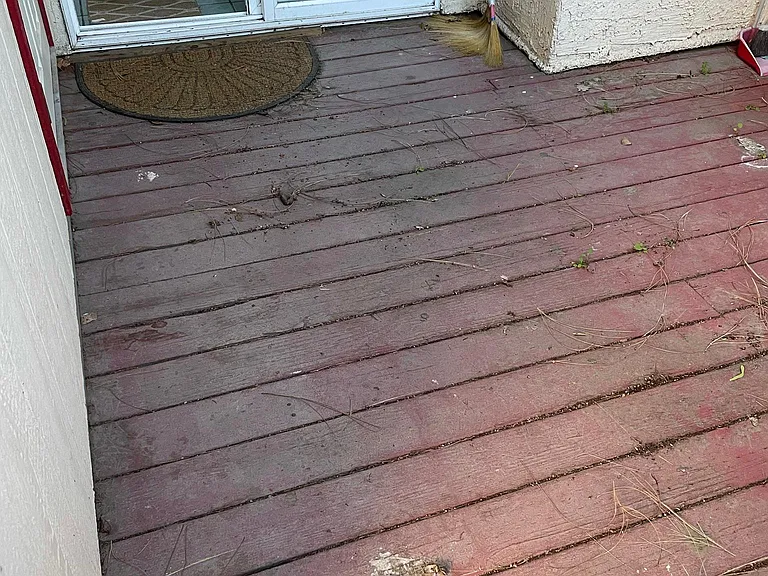 Lisa Ann St — Photo 12