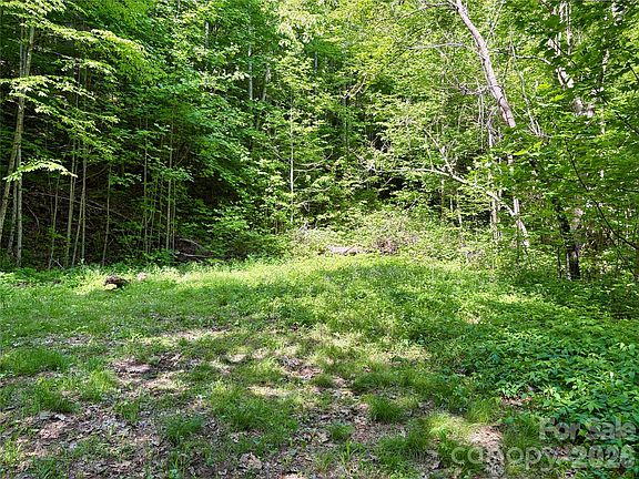 5th image of 0 Carpenter Rd