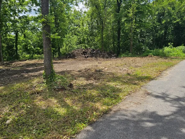 0 8th St, Bell Buckle, TN 37020