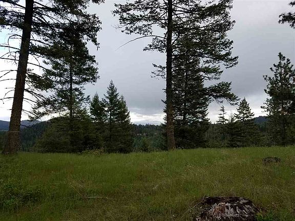 4th image of 42619 Mount Moriah Way