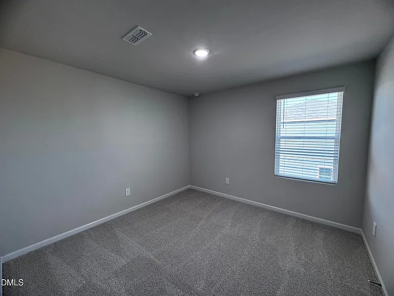 62 Thistle Patch Pl — Photo 12