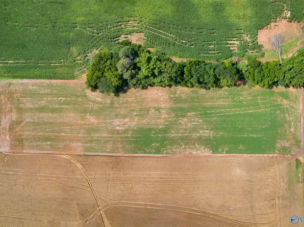 County Road 438, Hillsboro, AL 35643