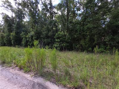 280 Terrace, Branford, FL, 32008