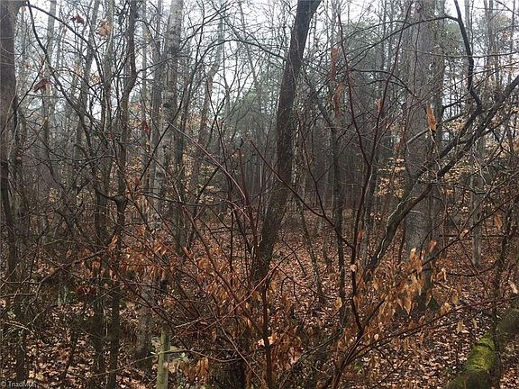 3rd image of 216 Plum Tree Ln