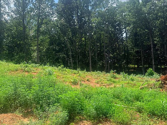 3rd image of 18 Oriole Lot Ct Lot 18