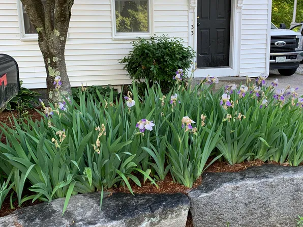 33 Oak St #33, Milford, NH 03055