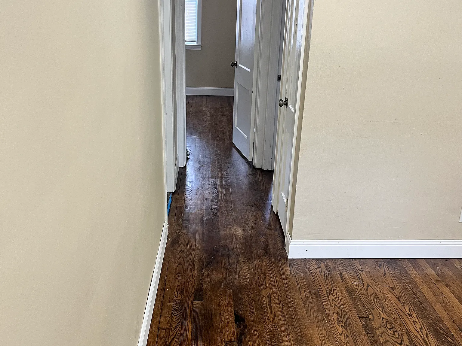 2 bed, 750 sqft, $1,245 — Photo 4