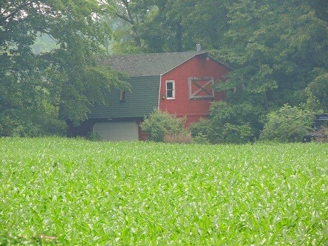 2nd image of Territorial Rd