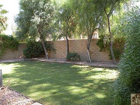 Easy care back yard.