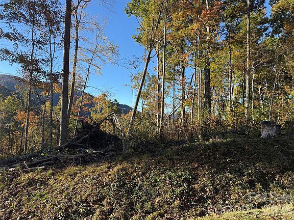 3rd image of LOT 6 S Ridgerunner Rd