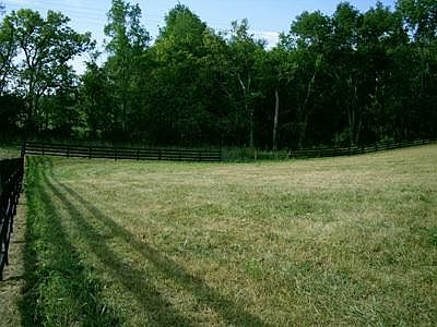 4th image of 160 Chrisman Oaks Trl