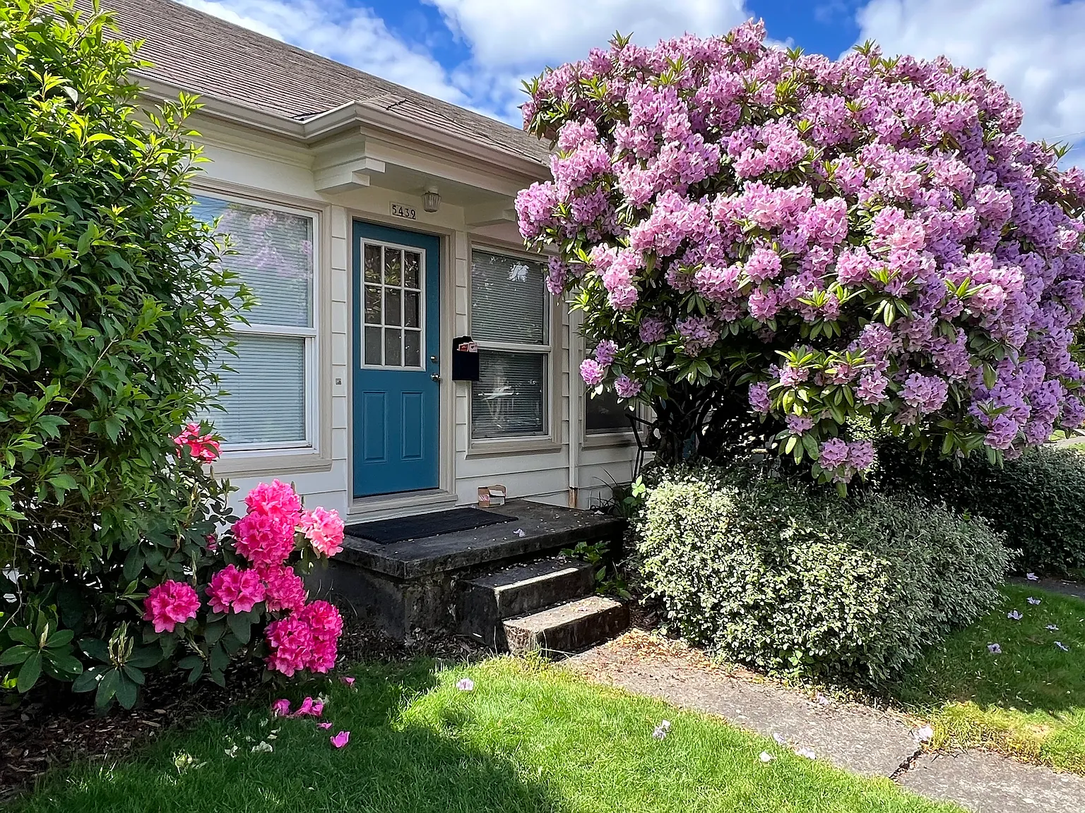 1 bed, 600 sqft, $1,390 — Photo 2