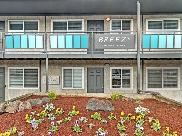 Breezy, 802 Harrington Ave NE APT 9, Renton, WA 98056