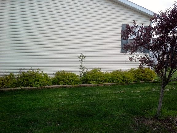 4th image of 183 Robin Dr