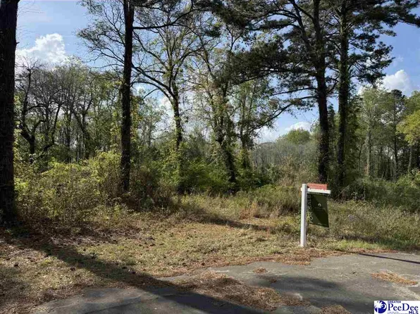 Byrdtown Rd, Hartsville, SC 29550