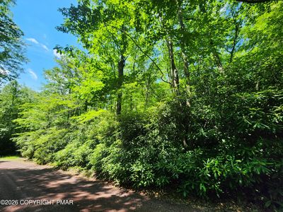 LOT A48 Rhododendron Rd, Jim Thorpe, PA, 18229