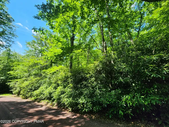LOT A48 Rhododendron Rd, Jim Thorpe, PA 18229
