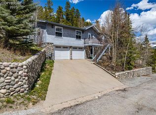 1803 Ridgeview Dr, Leadville, CO 80461