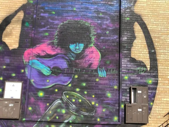 1234w127th, 1234 W 127th St #2A, Riverdale, IL 60827