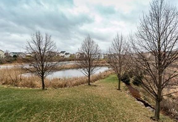 View of Backyard from Deck