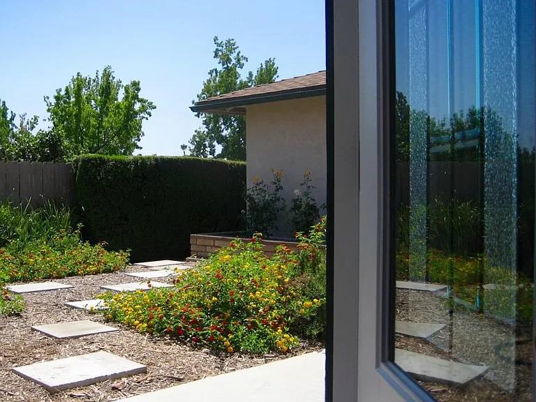 Middle Yard - Facing Southwest