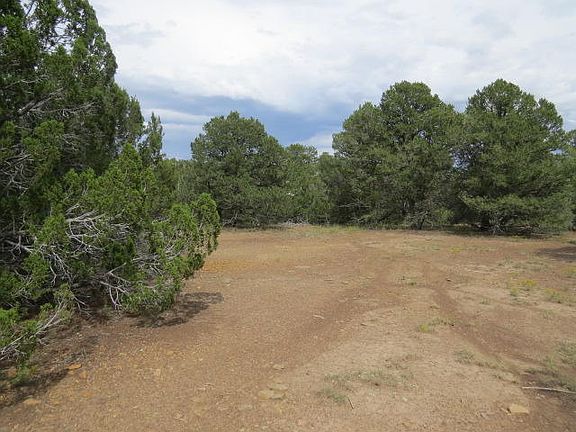 4th image of LOT 3 Americana Park Bon Carbo Lot 3