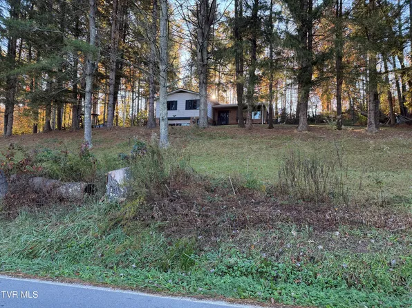 1233 Pleasant Valley Rd, Mountain City, TN 37683