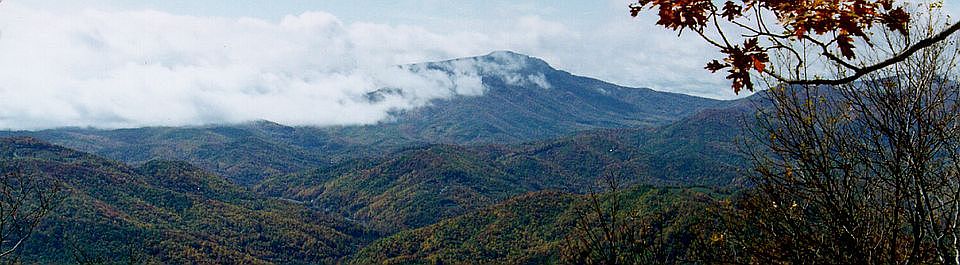 Grandfather Mt from lot