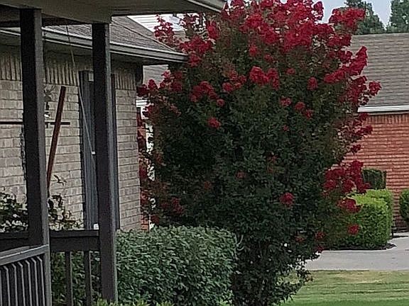 2nd image of 2807 Graystone Dr